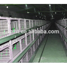 sistema automático del agua de pollo del precio de fábrica para la jaula de las aves de corral